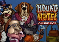 Hound Hotel